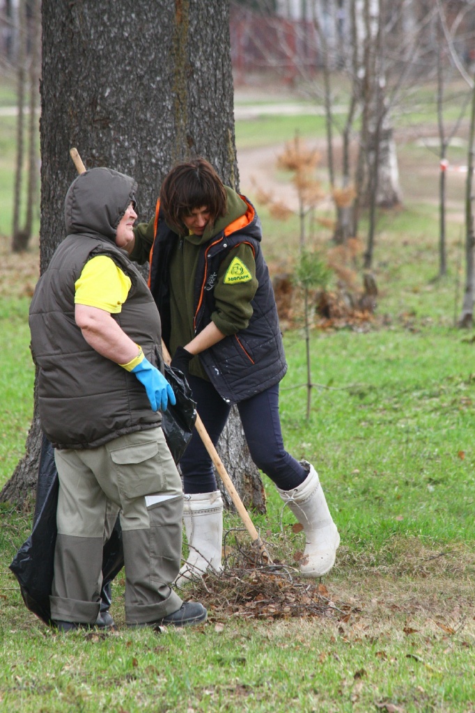 ������� ��������CAMC7535.jpg